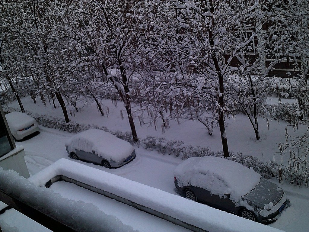 DSCF0008_����.jpg