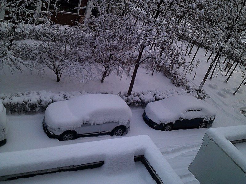 DSCF0009_����.jpg