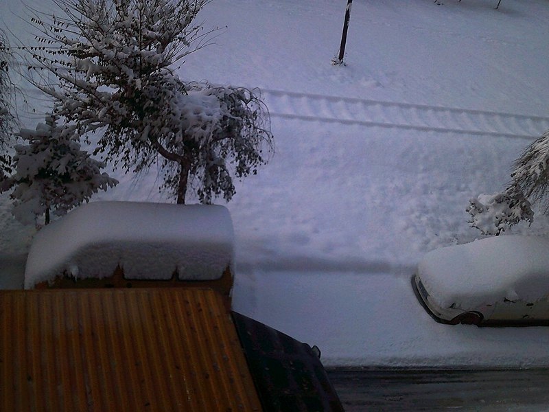 DSCF0012_����.jpg