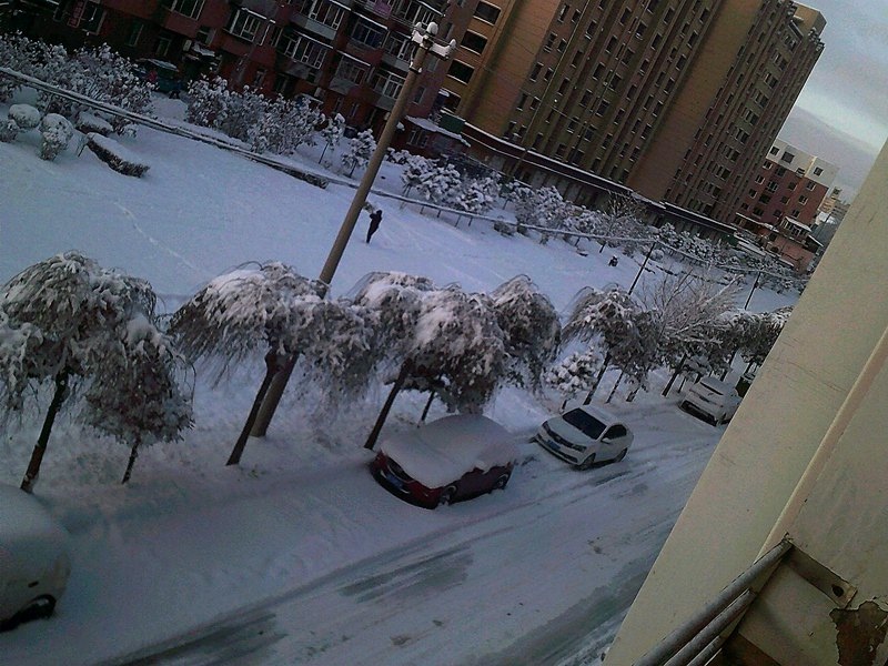 DSCF0014_����.jpg