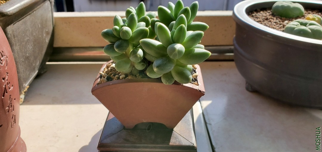 20191115_135456.jpg