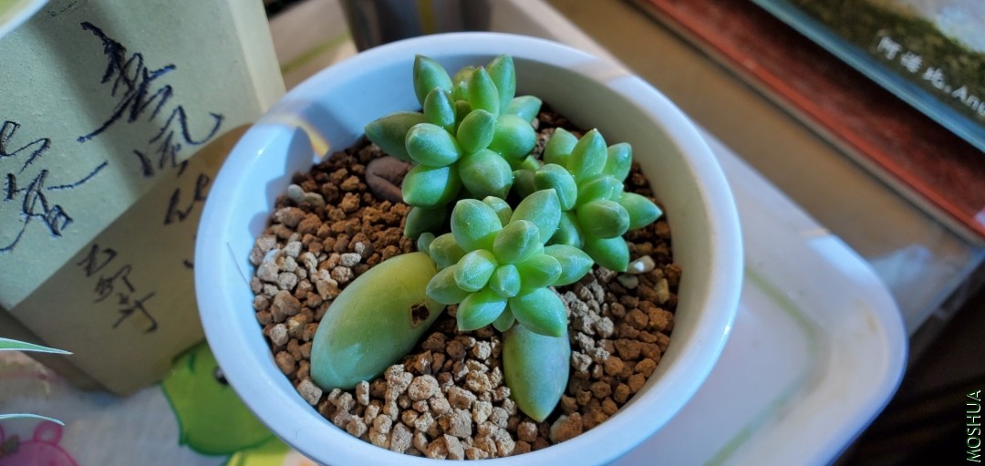 20191115_135237.jpg