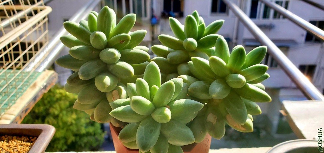 20191115_140049.jpg