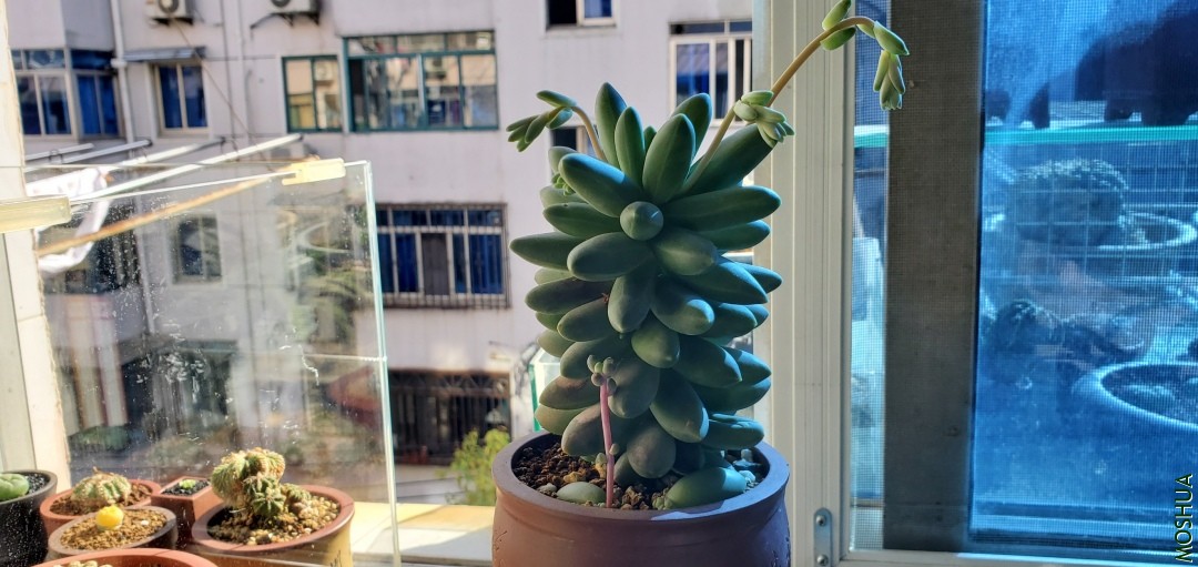 20191115_134001.jpg