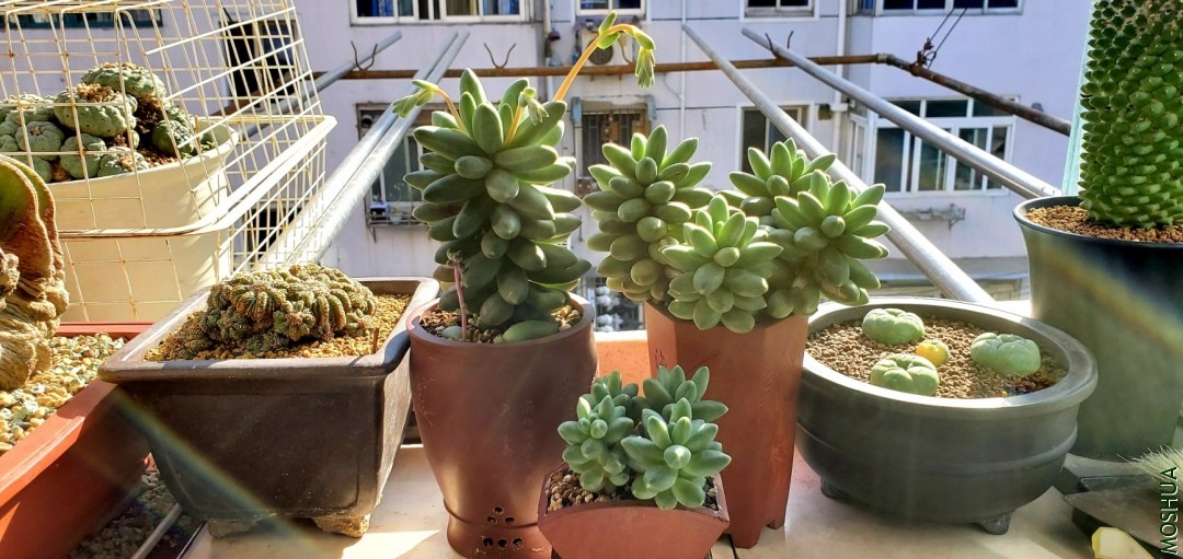 20191115_140029.jpg