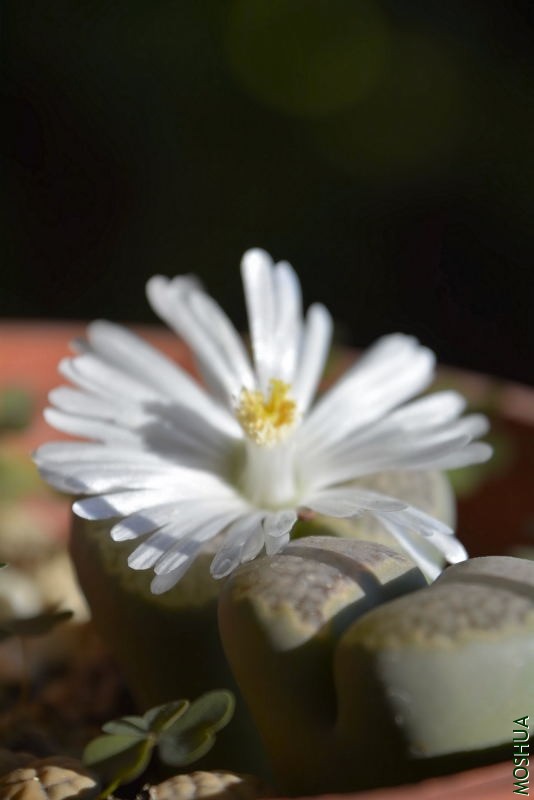 _DSC76890224.JPG