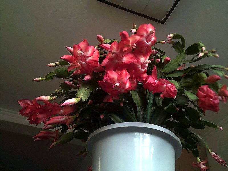 DSCF0001 (2)_����.jpg