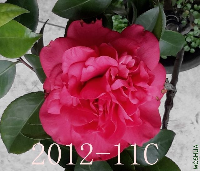20191117_151900_����.jpg
