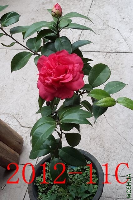20191117_151918_����.jpg