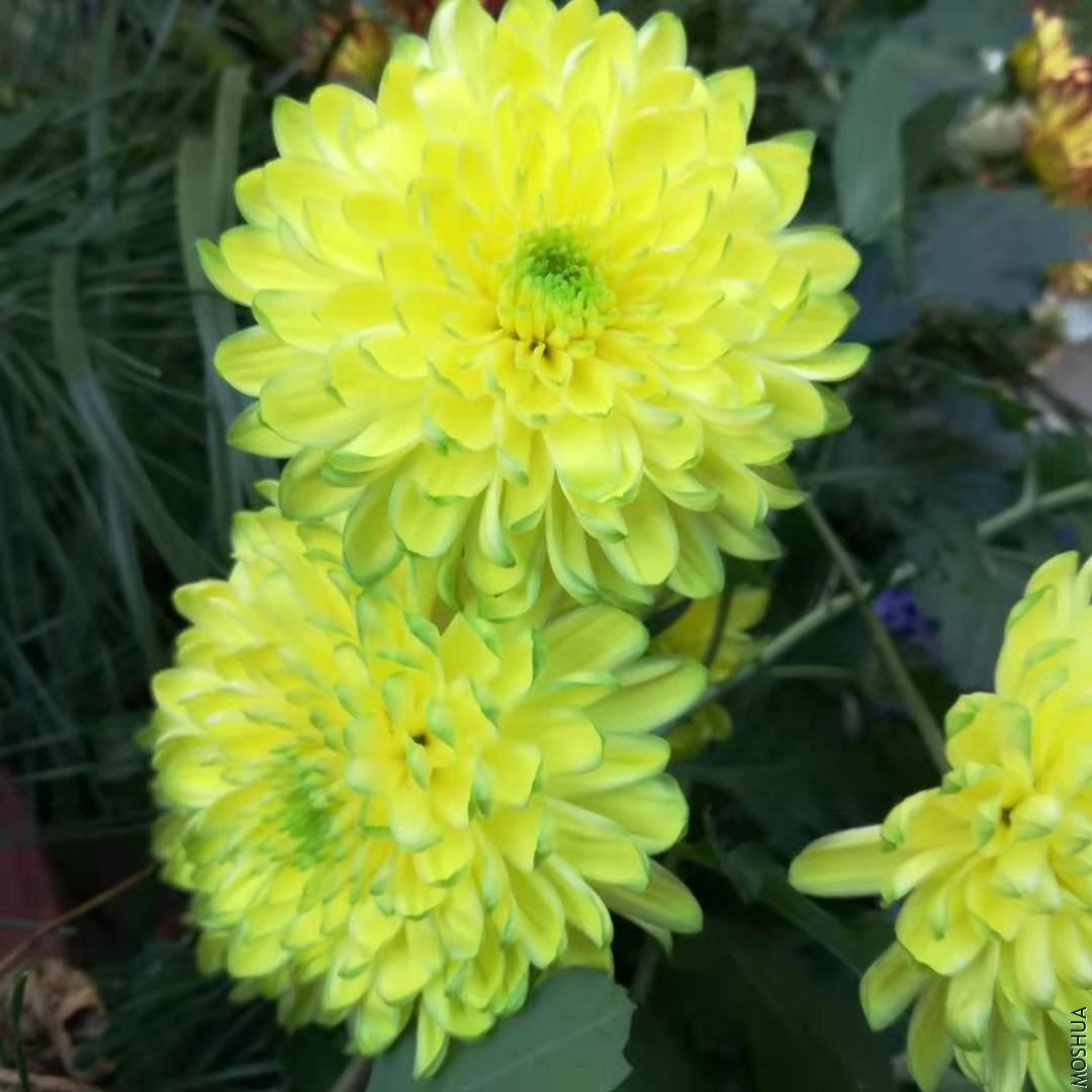 ΢��ͼƬ_20191118084250.jpg