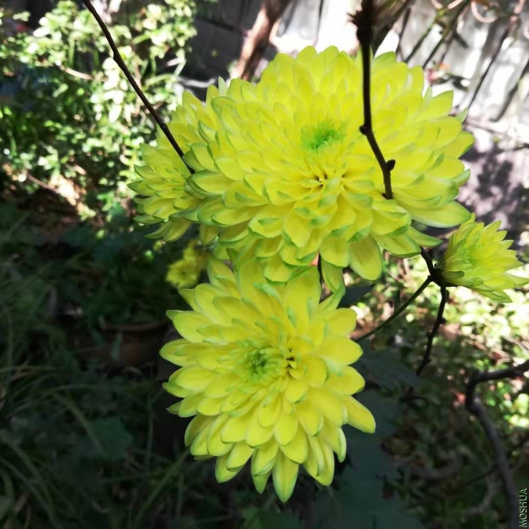 ΢��ͼƬ_20191118084253.jpg