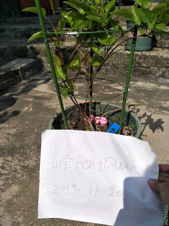 IMG20191120131131.jpg