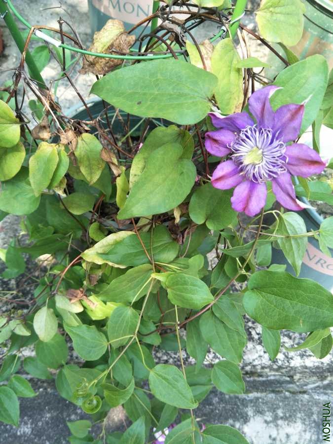 IMG20190919141607.jpg