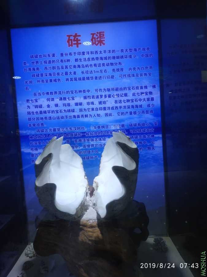 IMG_20190824_074351.jpg