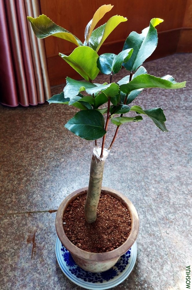 ������ (6).jpg