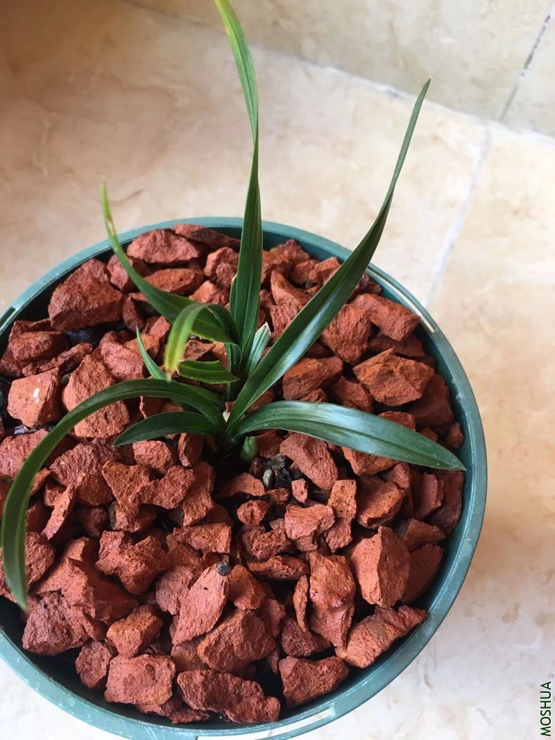 ΢��ͼƬ_20191123191843.jpg