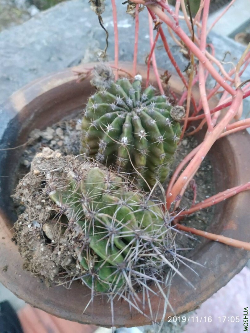 QQͼƬ20191122224438.jpg
