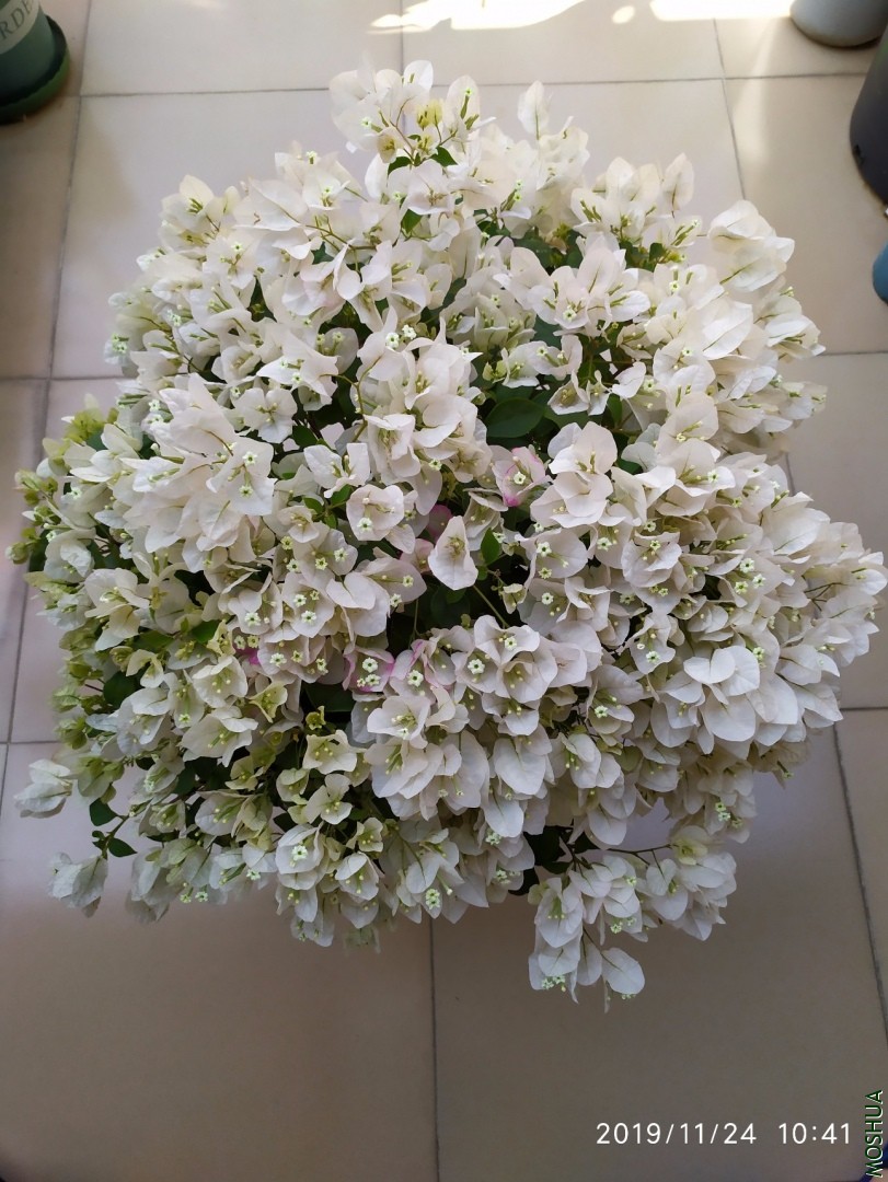 ΢��ͼƬ_20191125094853.jpg