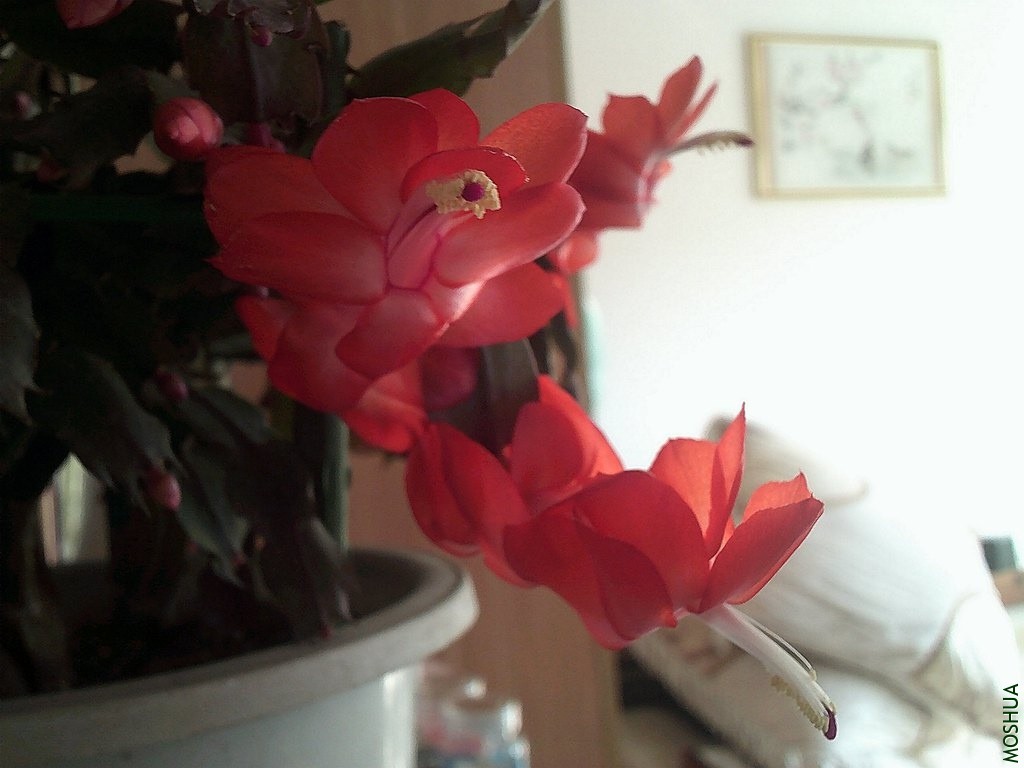 DSCF0003 (3)_����.jpg