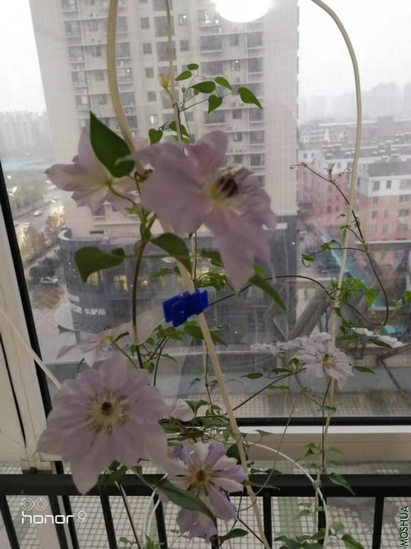 20191130191529.jpg