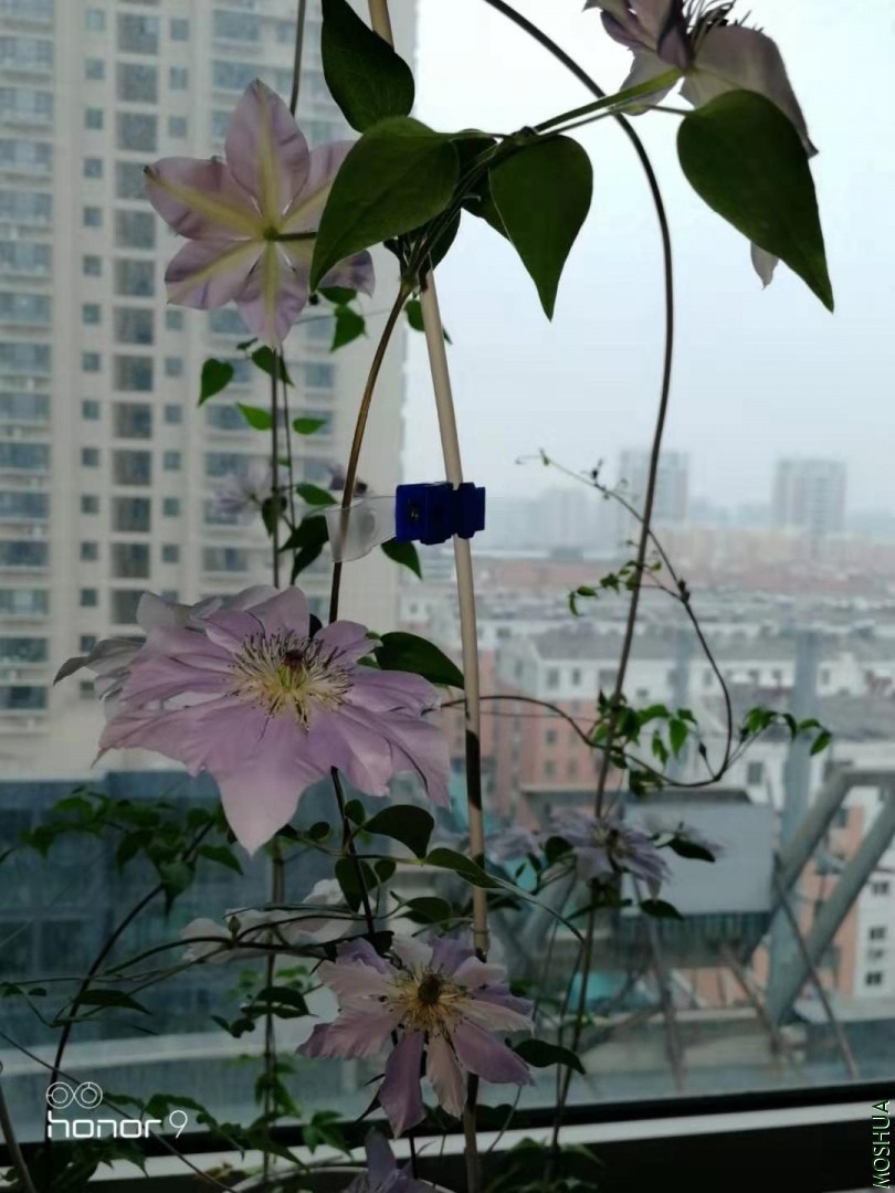20191130191541.jpg