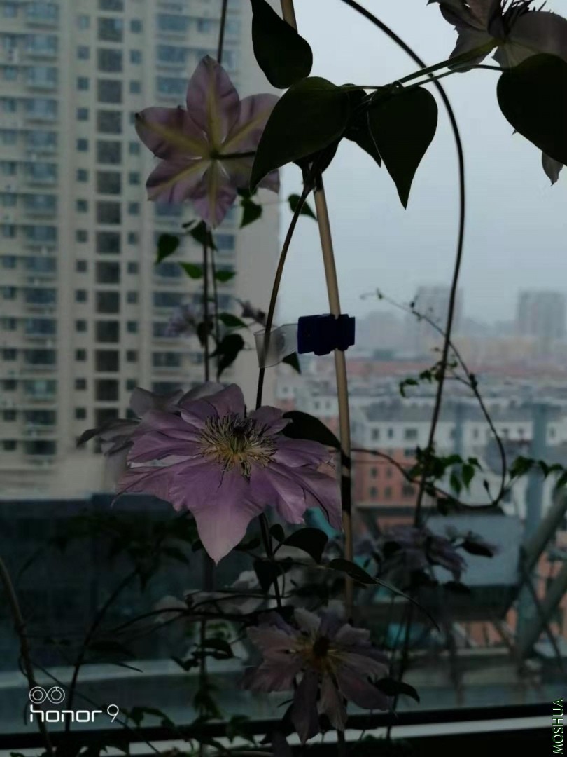 20191130191548.jpg