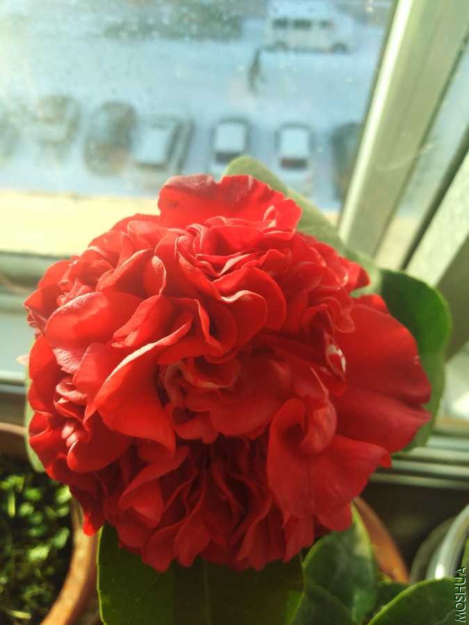 IMG_20191202_080748.jpg