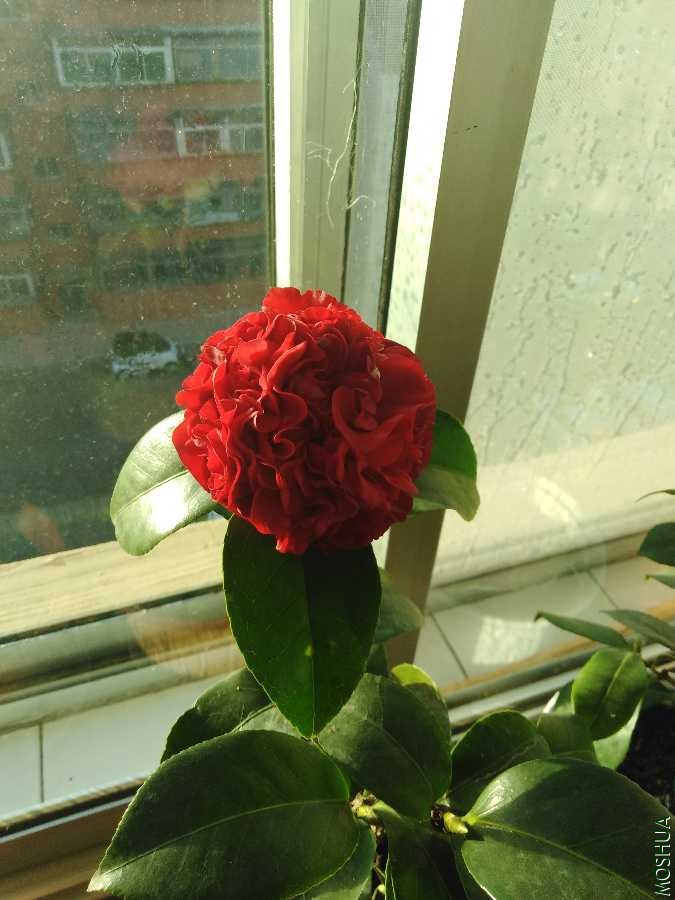 IMG_20191128_075550.jpg