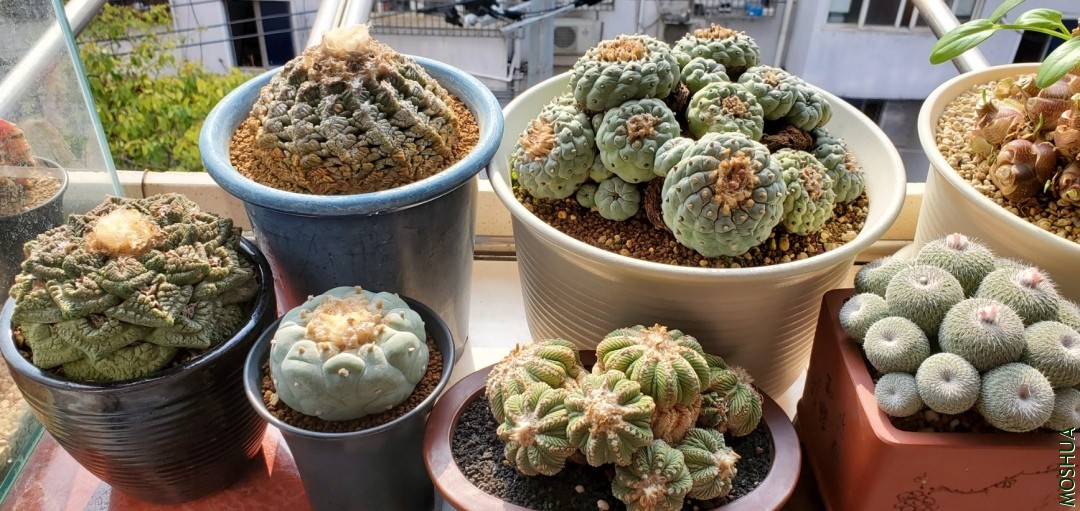 20191216_113958.jpg
