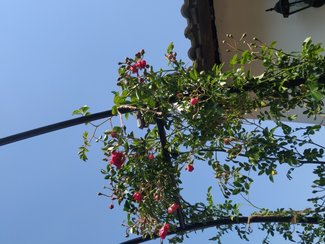 IMG_20190407_101949.jpg