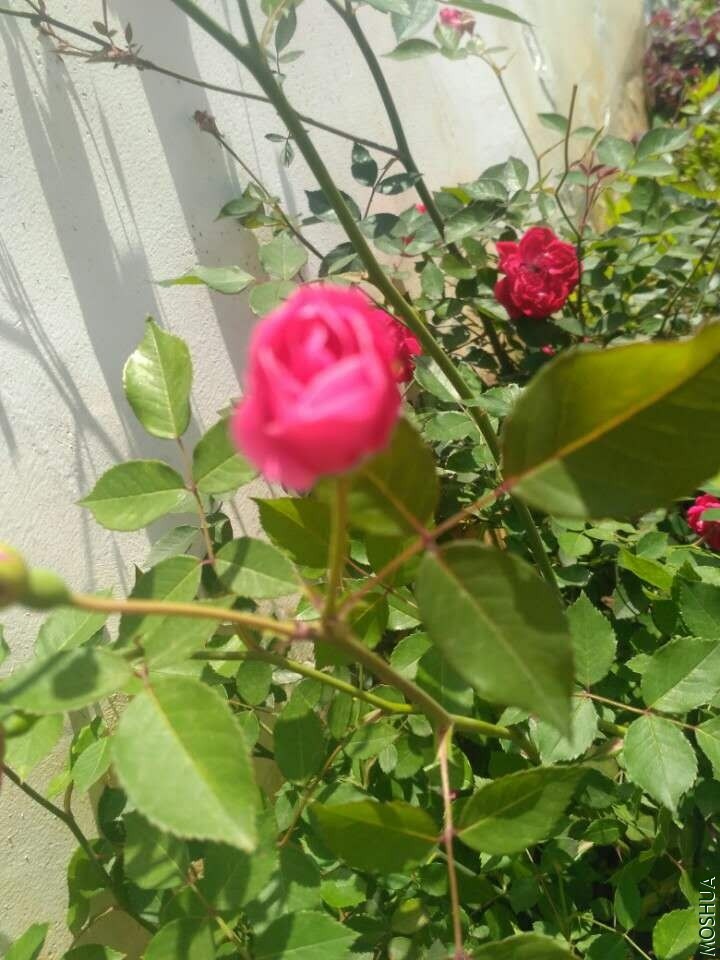 ΢��ͼƬ_20180906083741.jpg