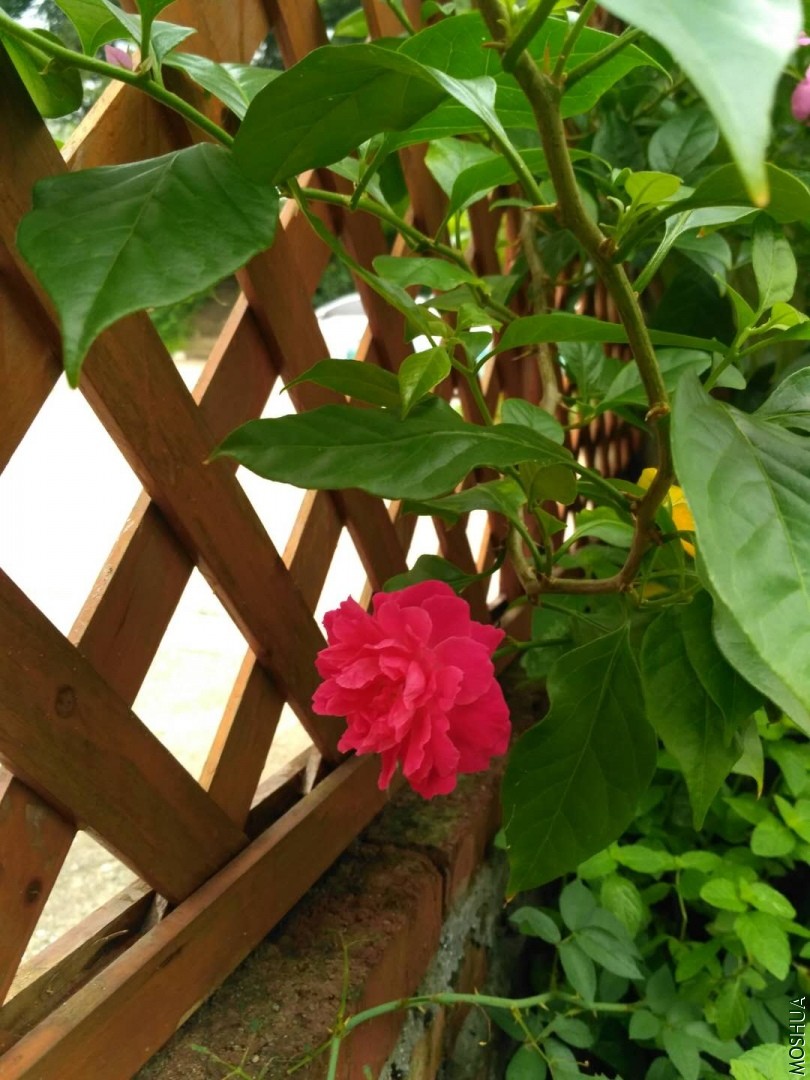 ΢��ͼƬ_20180906084955.jpg