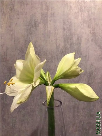 ����01_����.jpg