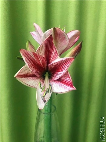 ��֪����01_����.jpg