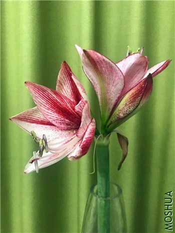 ��֪����02_����.jpg