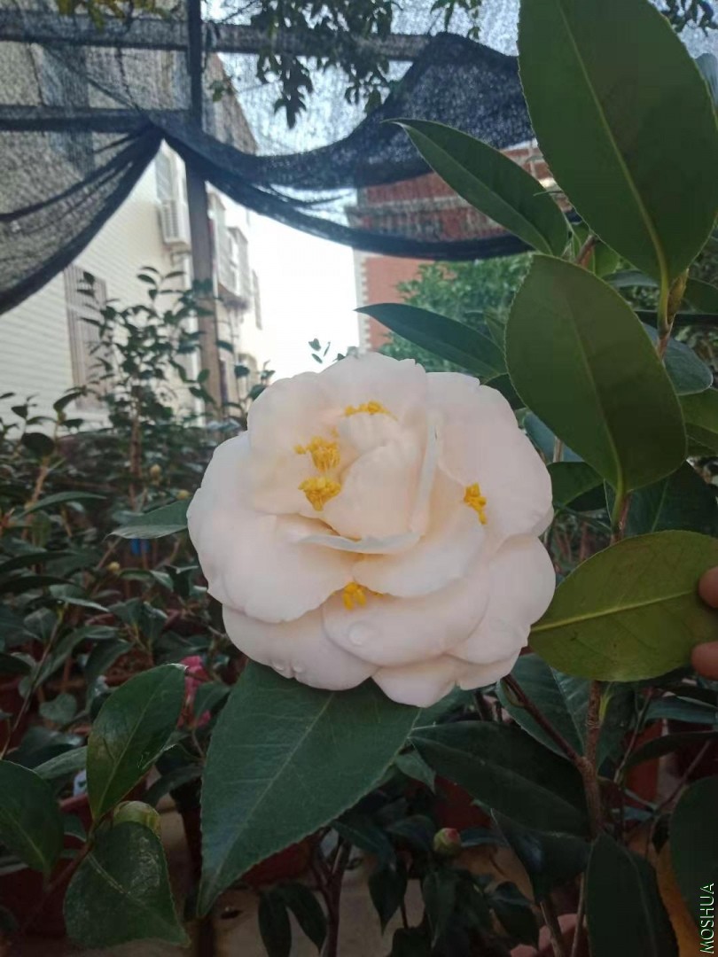 ΢��ͼƬ_20191226211700.jpg
