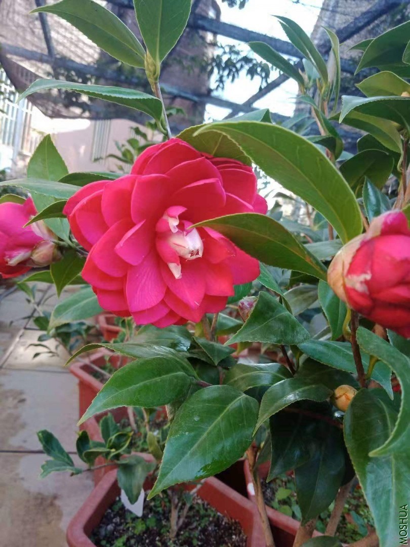 ΢��ͼƬ_20191226215106.jpg
