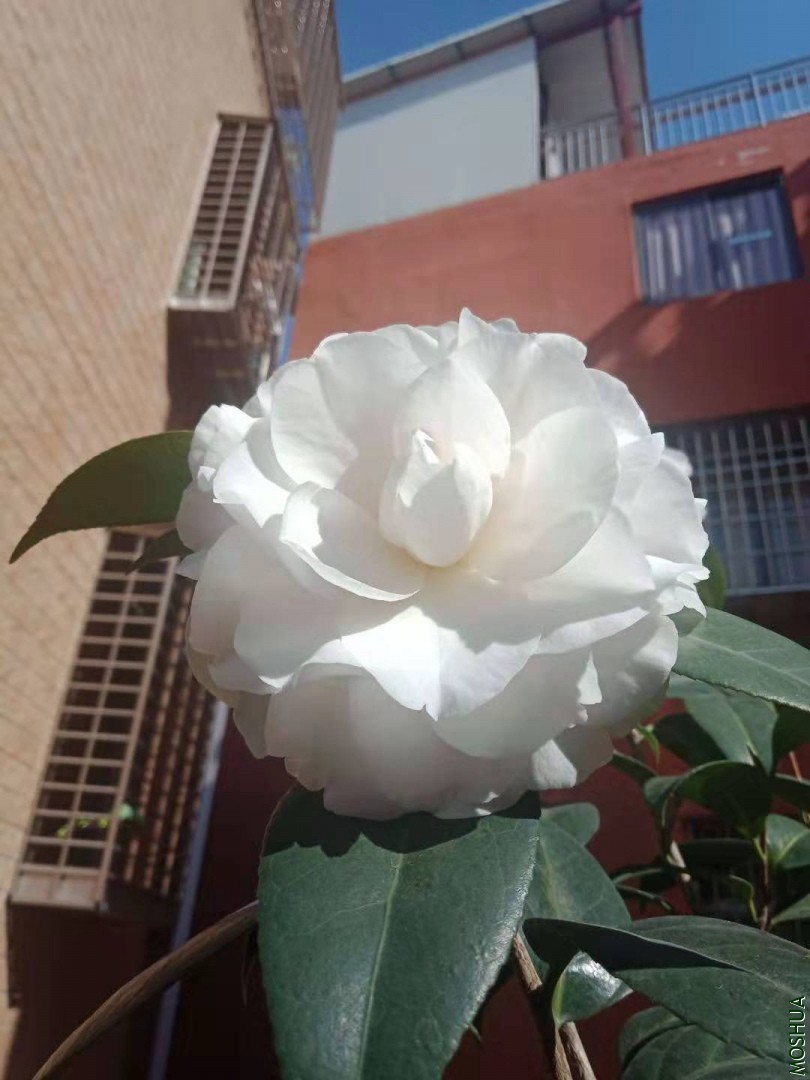 ΢��ͼƬ_20191226215316.jpg
