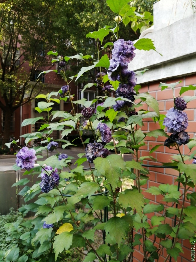 IMG_20190930_075155.jpg