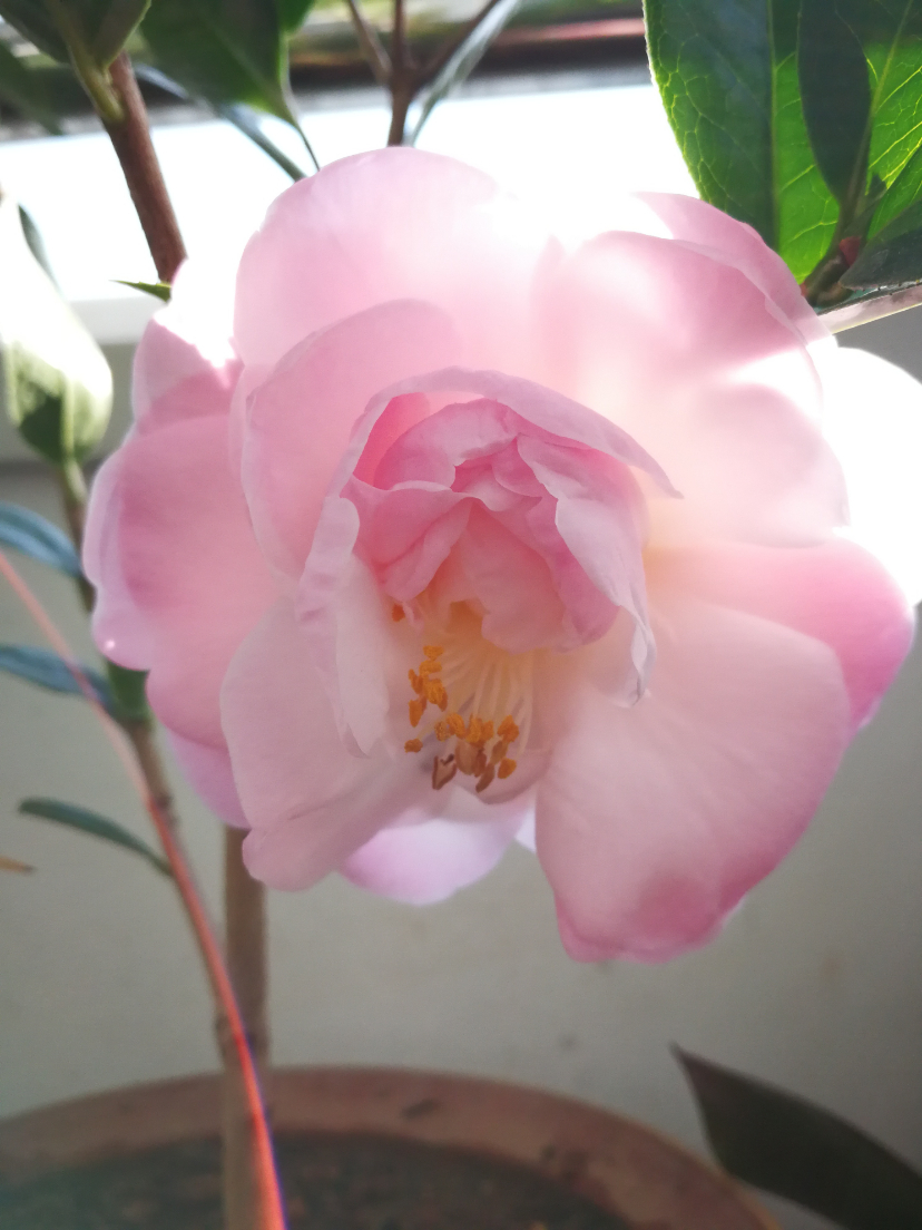 IMG_20200103_140006.jpg