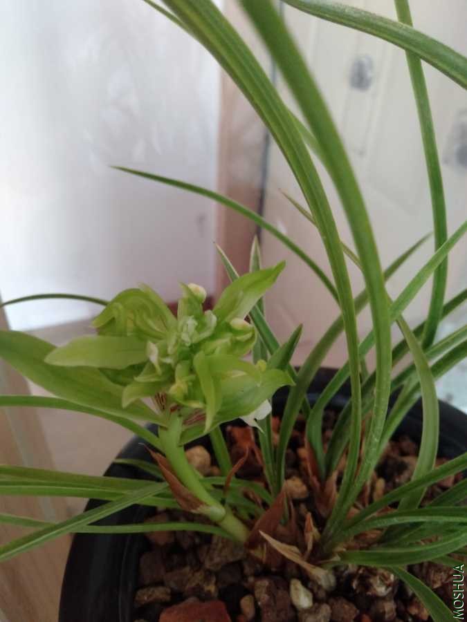 IMG20200104100915.jpg