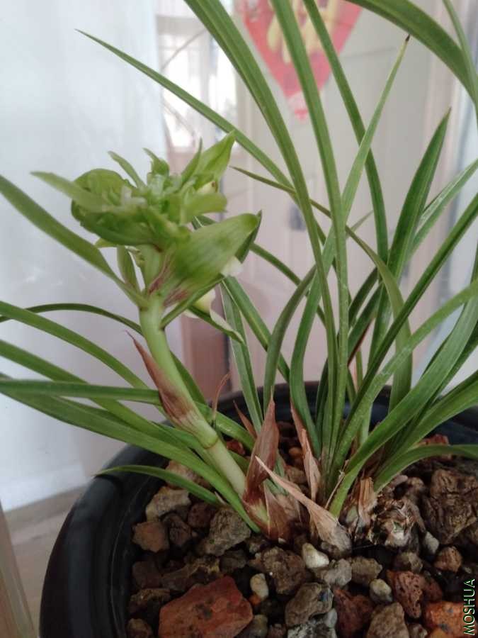 IMG20200104100918.jpg