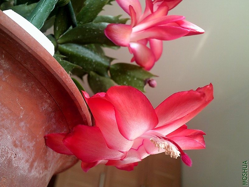 DSCF0003 (2)_����.jpg