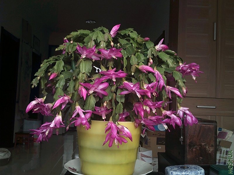 DSCF0014_����.jpg