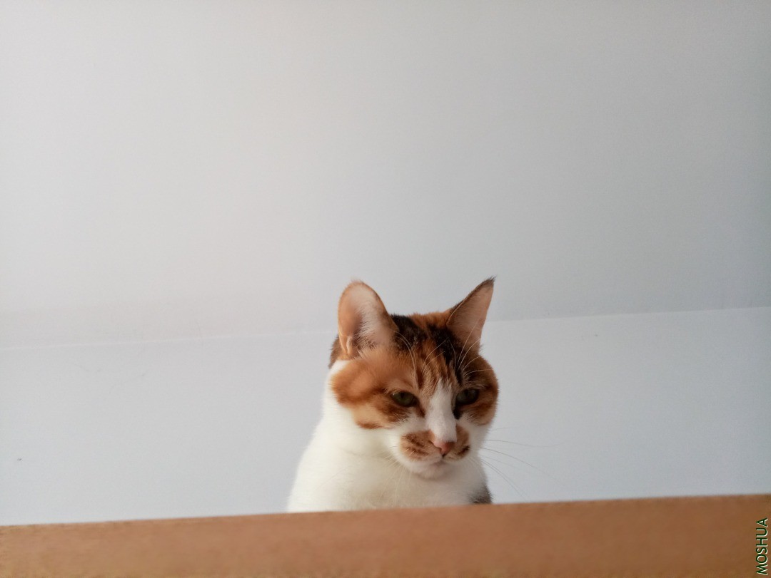 IMG20200104104956.jpg