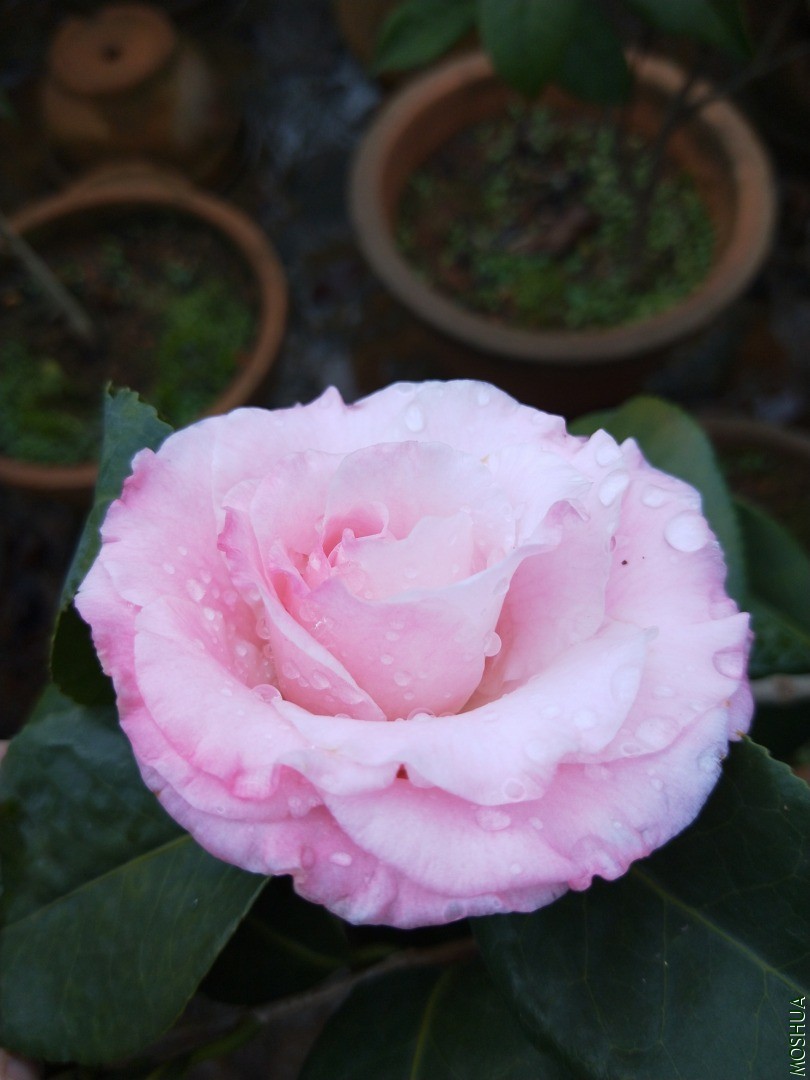 IMG20200107134219.jpg