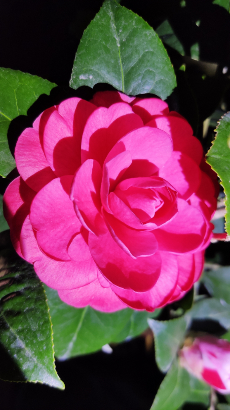 IMG_20200105_064337.jpg