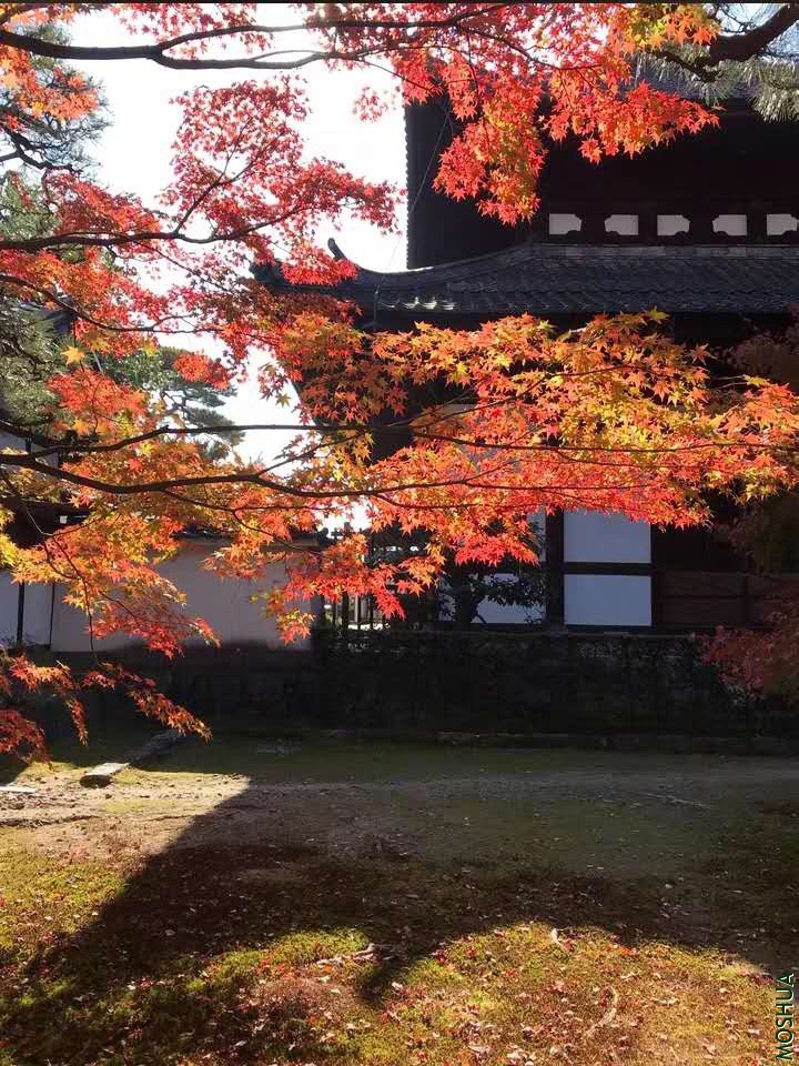 20200117215027.jpg