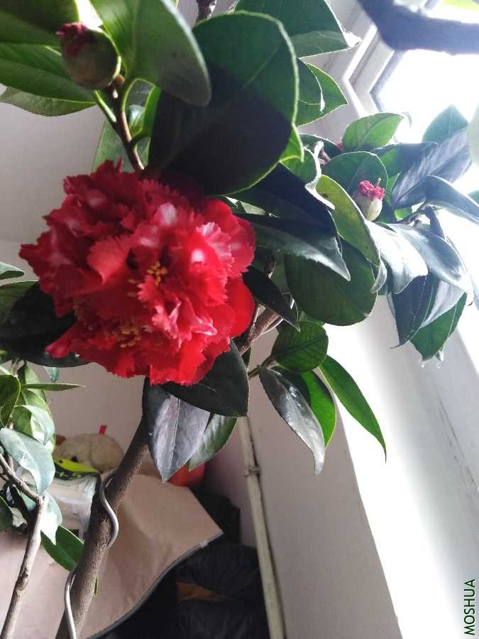 IMG_20200118_120121.jpg