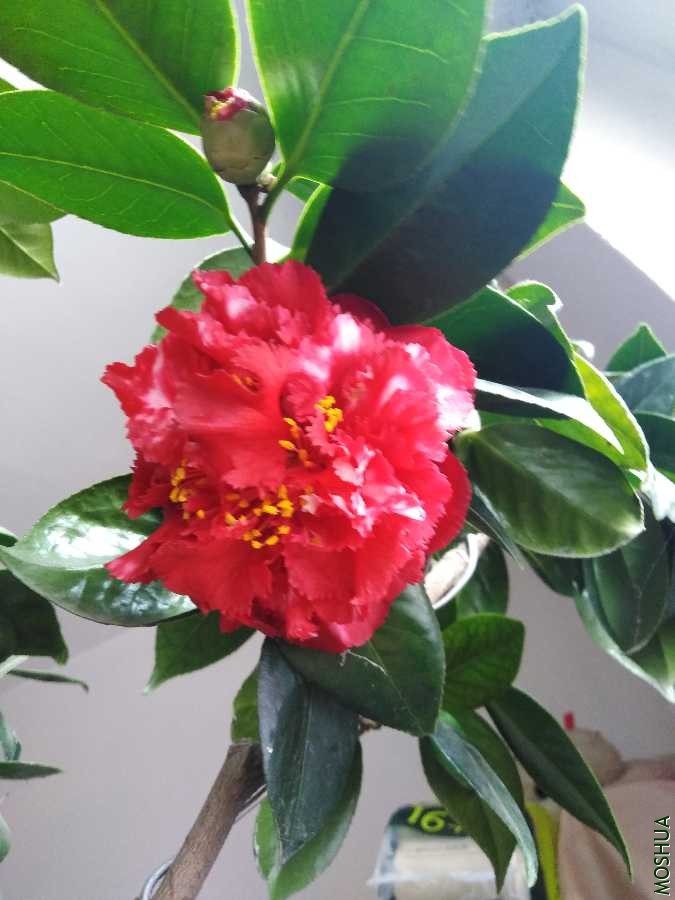 IMG_20200118_120028.jpg